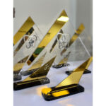 تندیس پلکسی (طراحی و ساخت سفارشی) - Image 8